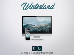 Winterland - Lightroom Desktop & Mobile Preset