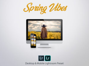 Spring Vibes - Lightroom Desktop & Mobile Preset